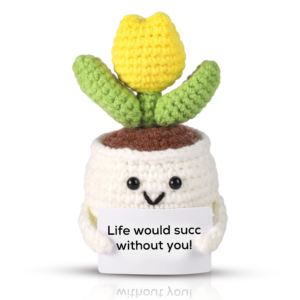 PICKLE BUDDIES Cactus Sunny Companion